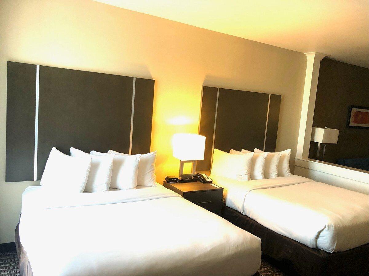 Comfort Suites Near Sam Houston Race Park Jersey Village Экстерьер фото
